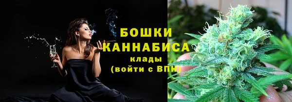 PSILOCYBIN Горняк