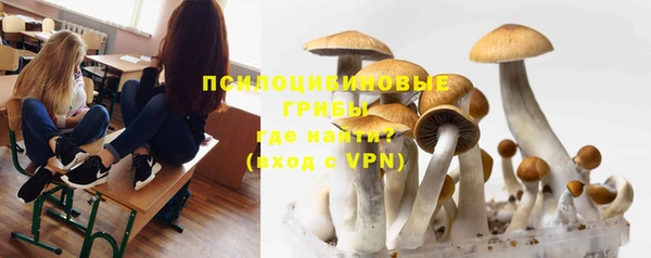 мяу мяу кристалл Гусев