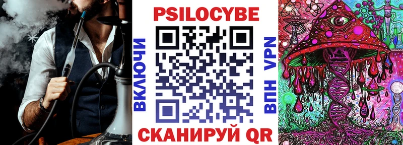 наркотики  Чкаловск  Псилоцибиновые грибы мухоморы 